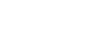 Puyjalon, brasserie et distillerie